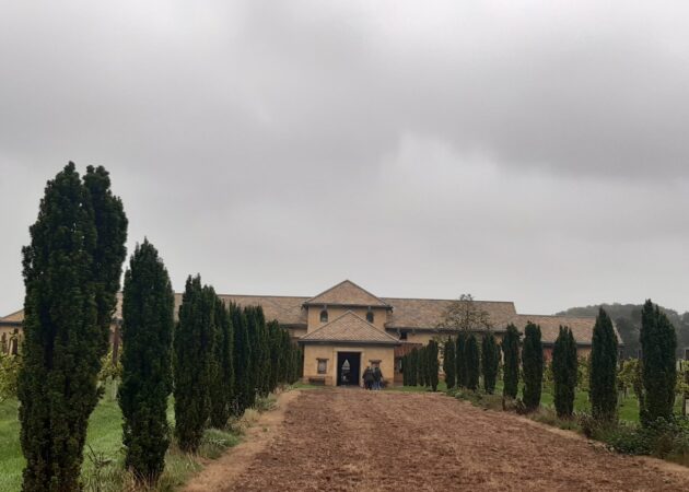 VISIT TO THE NEWT: VILLA VENTORUM – A ROMAN ESTATE REIMAGINED