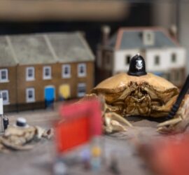 Communicating Climate Change: Insights from Crab Museum & Climate Museum UK